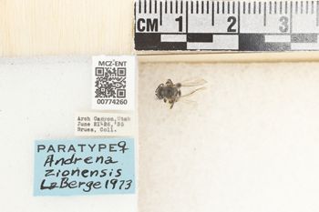 Media type: image;   Entomology 774260 Aspect: Labels